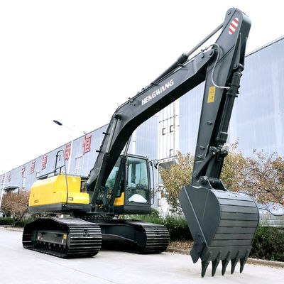 Customization Large Scale Heavy Duty Excavator High Capacity Yellow Colored